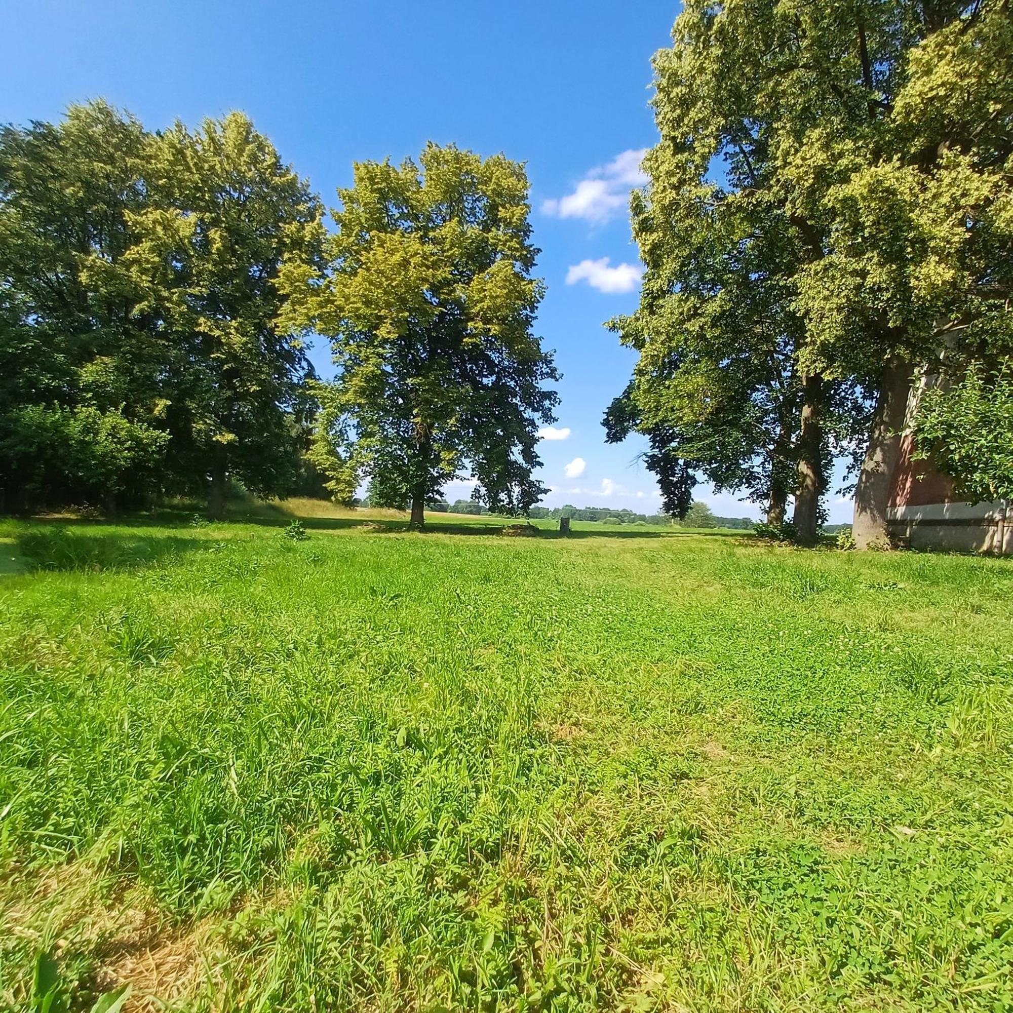 Lomnice nad LužnicíStatek U Spulaka公寓 外观 照片